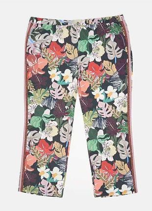 Брюки женские triangle 184783