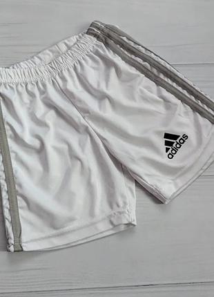 Шорти adidas білі 104