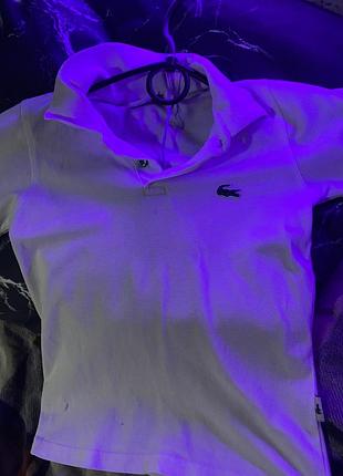 Жіноче поло lacoste оригінал
