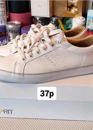 Новые кроссовки espirit женские 37р