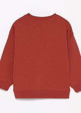 Світшот, кофта