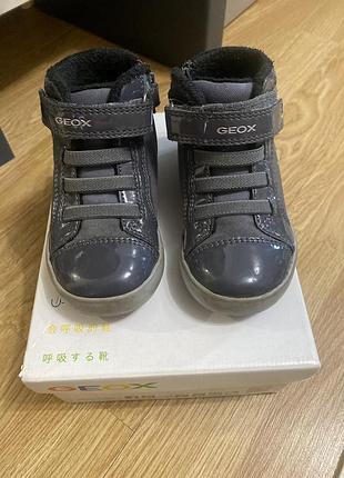 Хайтопи geox