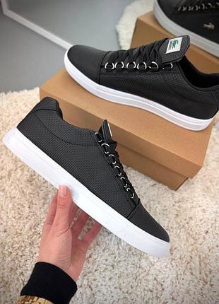Чоловічі кеди lacoste 7