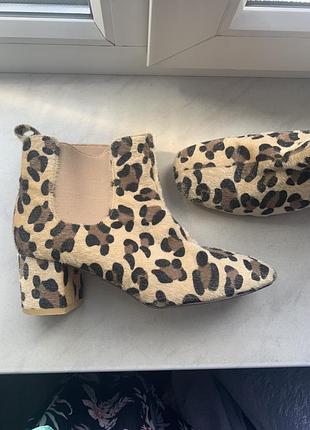 Черевички жіночі з принтом під леопарда або  нерпи. з ворсом