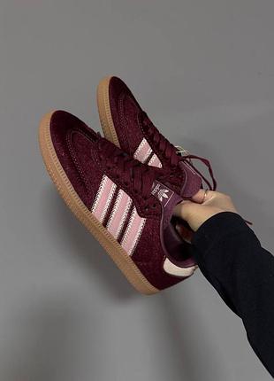 Кросівки жіночі adidas samba burgundy slogan C5885