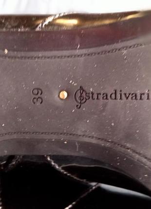 Черевики stradivarius 5