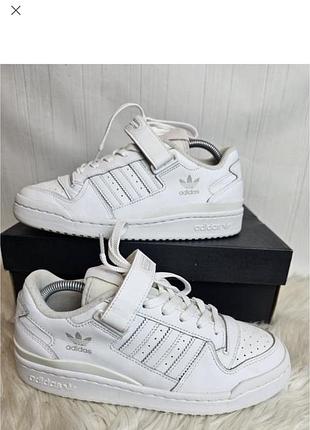Кросівки adidas forum low