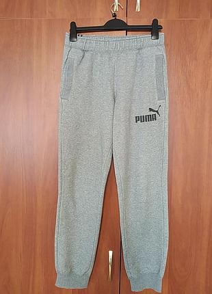 Спортивні штани катон