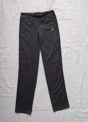 Спортивные штаны женские adidas sobakovlite