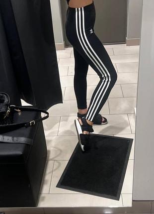 Лосины ebay adidas оригинал