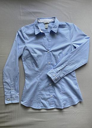 Синя смугаста блуза h&m