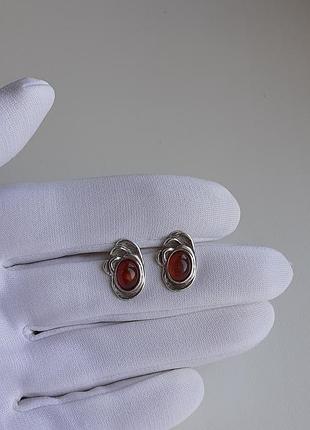 Серебряные серьги