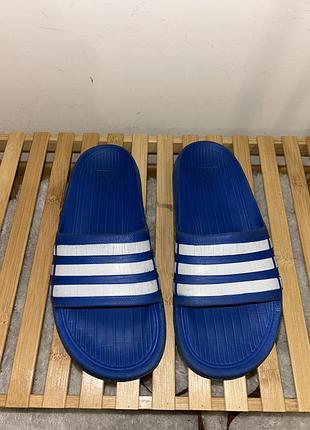 Шльопанці adidas