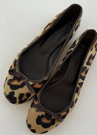 Балетки кожаный принт леопард