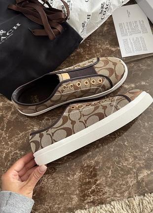 Кеди coach