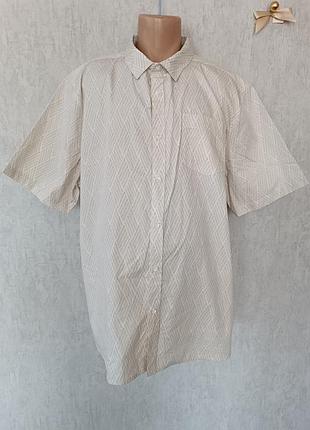 Базовая рубашка из хлопка р.xxl