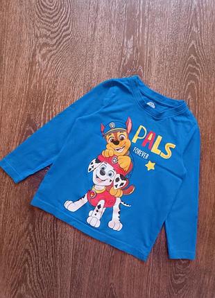 Реглан nickelodeon