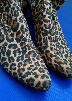 Стильные ботфорты сапоги чулки на шнуровке леопард принт длин4 фото