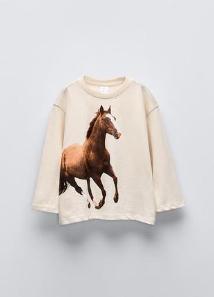 Регланчик zara🔥