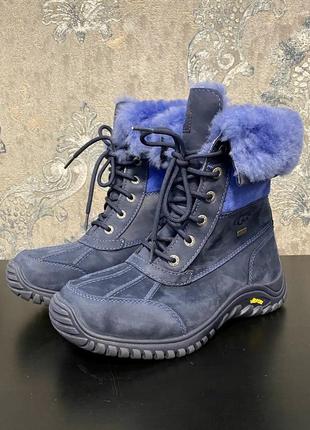 Сапоги ugg 2
