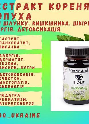 Екстракт кореня лопуха (алергія, дерматит, отруєння, гастрит, панкреатит, виразка)