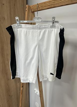 Чоловічі спортивні шорти puma s білі літні шорти пума