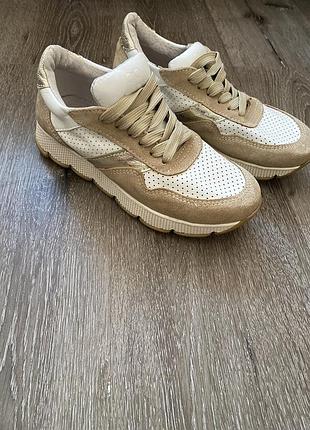 Кросівки жіночі на шнурівці,asti