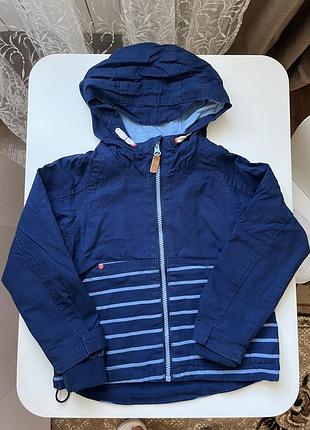 Вітровка бавовняна