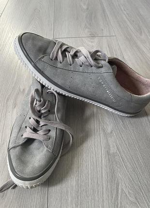 Твої улюблені сірі кеди - вже чекають на прогулянку 👍