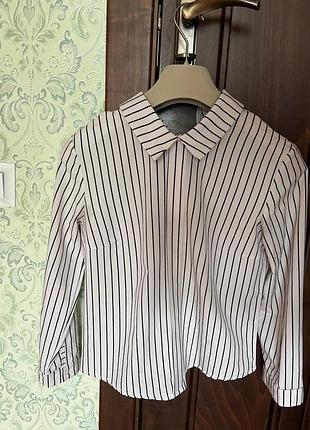 Блуза в полоску