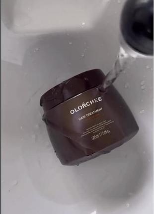 Маска для глубокого восстановления волос - olorchee hair treatment deep repair / hadat cosmetics