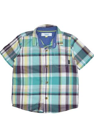 Тенниска детская в клетку ted baker