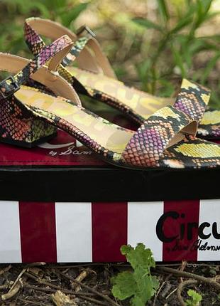 Босоніжки sam edelman circus екошкіра