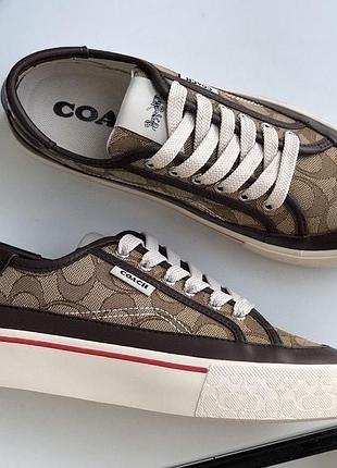 Жіночі кеди coach