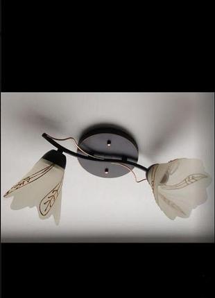 Люстра на 2 плафона