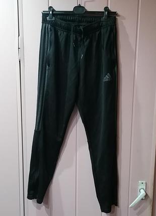 Спортивки adidas