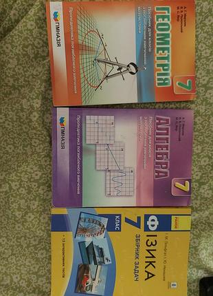 7 класс геометрия алгебра физика гимназия