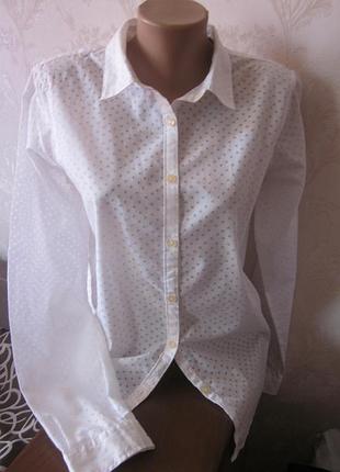 Симпатичная легкая рубашка scotch soda s-m/состояние новое