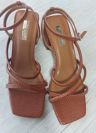 Босоніжки з квадратним носком