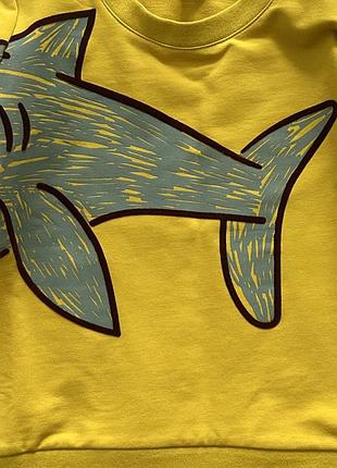 🐰світшот reggell 3