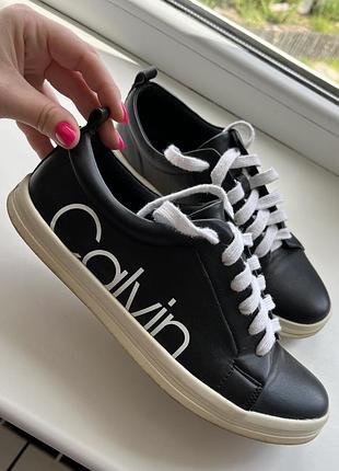 Кеды calvin klein