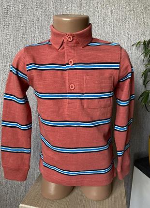 Поло реглан лонгслів у смужку 4 рочки