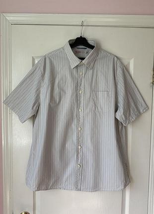 Бавовняна теніска debenhams xxl