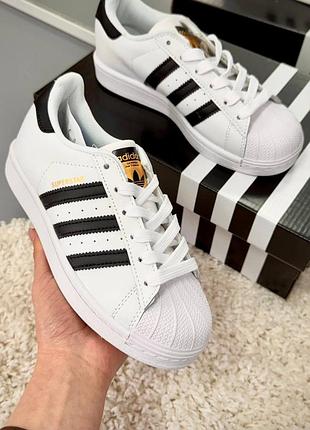 Кроссовки adidas superstar
