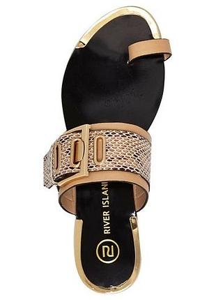 Бежеві босоніжки/шльопанці river island з золотими елементами і зміїним принтом