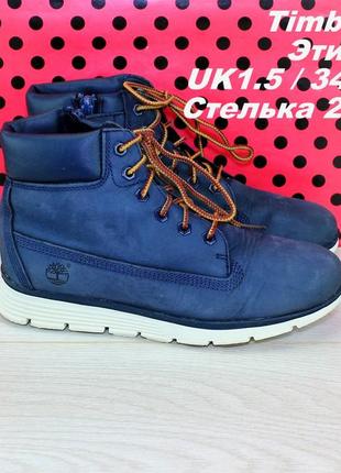 Черевики timberland1 фото