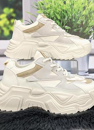 Кроссовки женские swin shoes белые с серым на объемной подошве демисезонные 4454