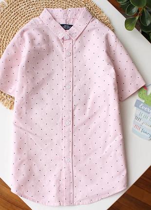 Рожева  сорочка  з коротким рукавом в дрібний горох matalan
