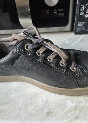 Кеди ecco,  37