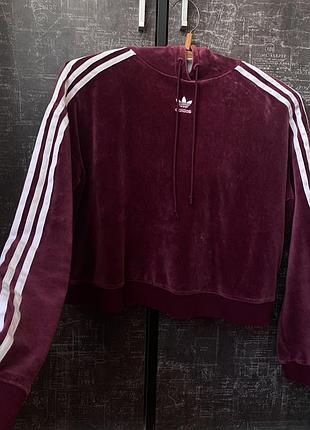 Укорочене худі адідас